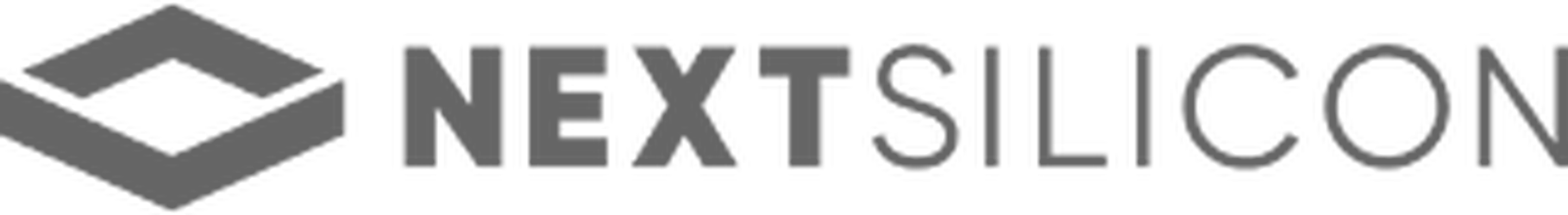 nextsilicon